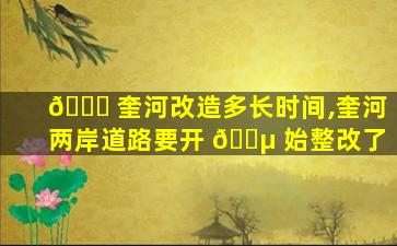 🐟 奎河改造多长时间,奎河两岸道路要开 🌵 始整改了